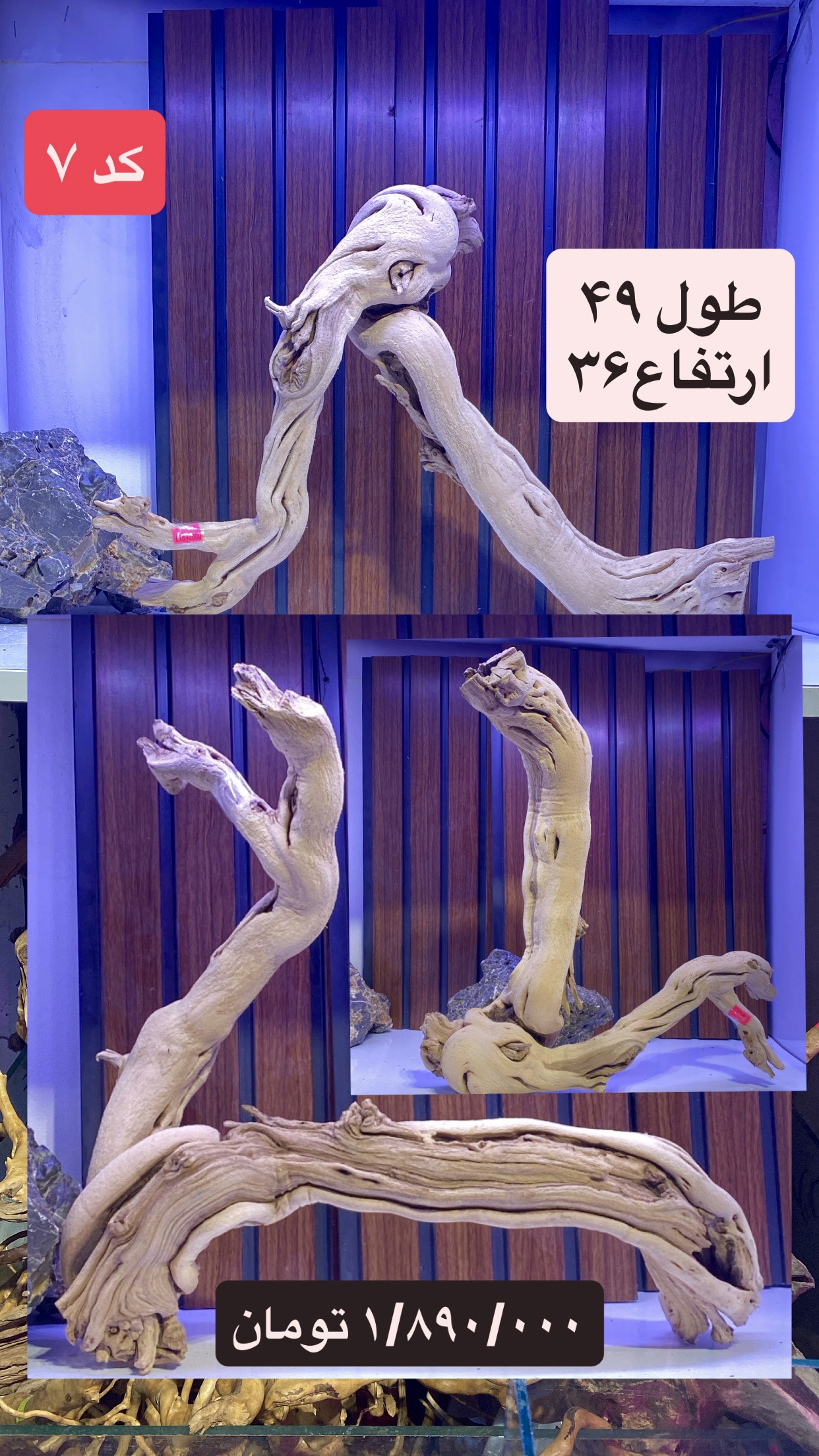 خرید و قیمت چوب دکوری کد ۷ مناسب آکواریوم